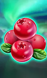 Winterberries